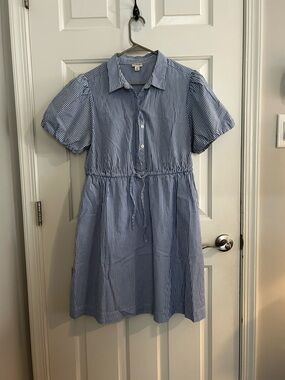 J. Crew Blue and White Pinstripe Shirt Dress